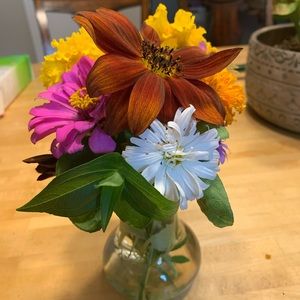 Meet your Posher, Caroline